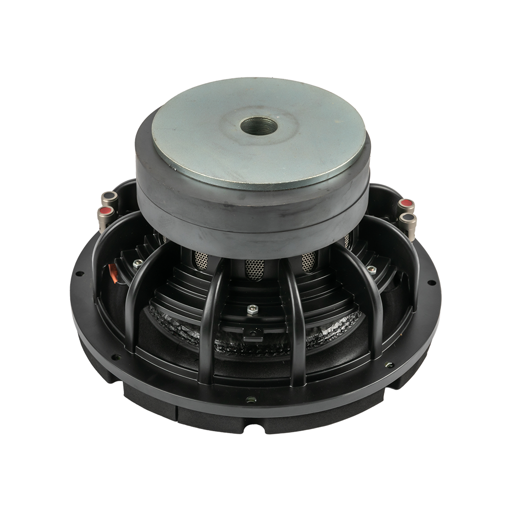 W10-07 10 Inches dual voice coil car subwoofers