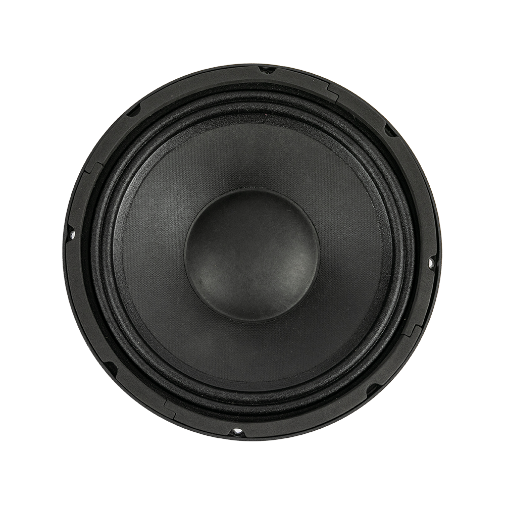 P10-01 10.0 Inches Full Band Professional Speakers