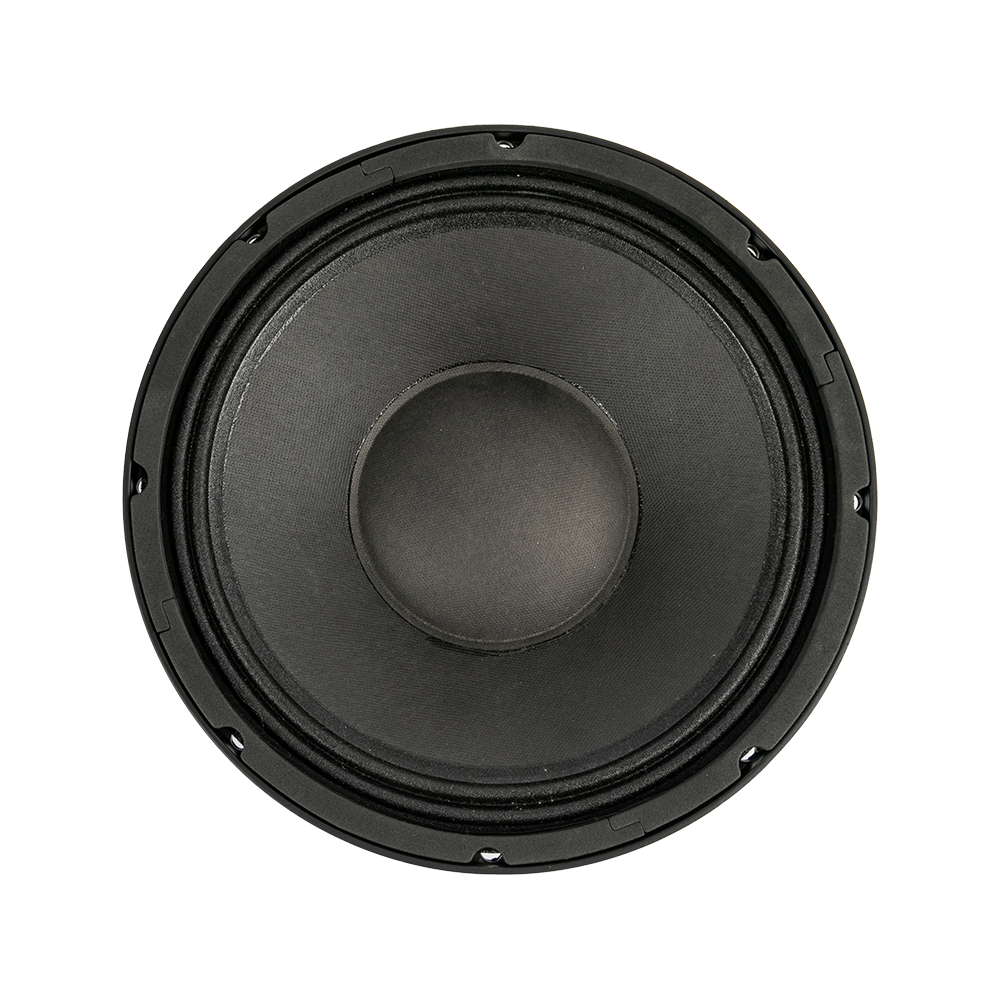 P10-02 10.0 Inches Interference-resistant Professional Speakers