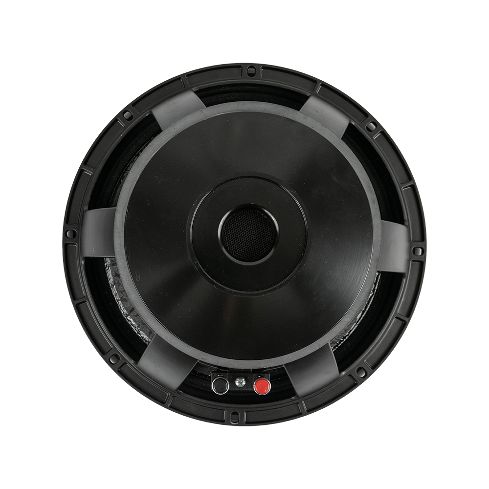 P12-09 12.0 Inches Audio Separation Professional Speakers