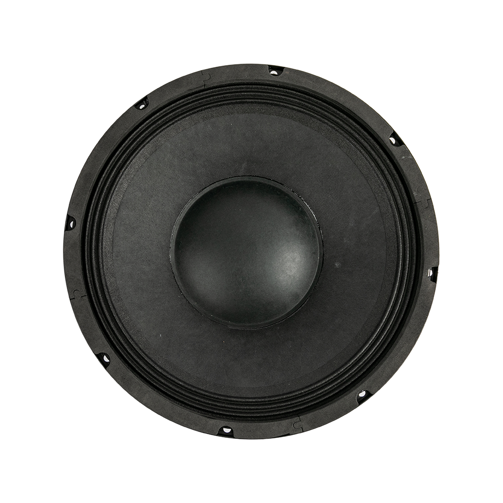 P12-10 12.0 Inches Broadband Response Professional Speakers