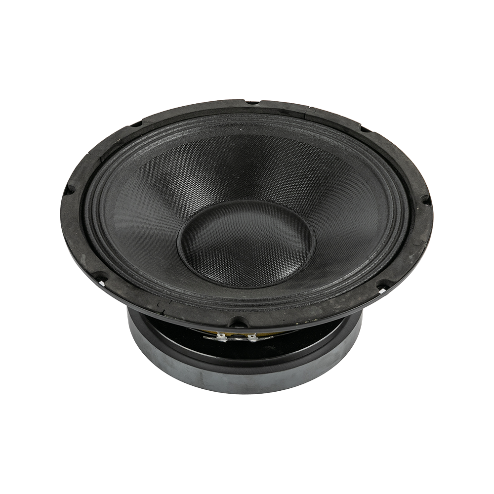 P10-03 10.0 Inches Clear-sounding Professional Speakers