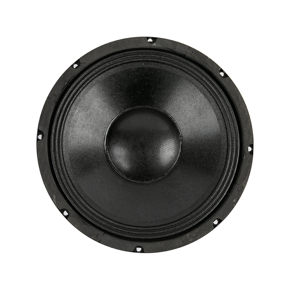 P10-03 10.0 Inches Clear-sounding Professional Speakers