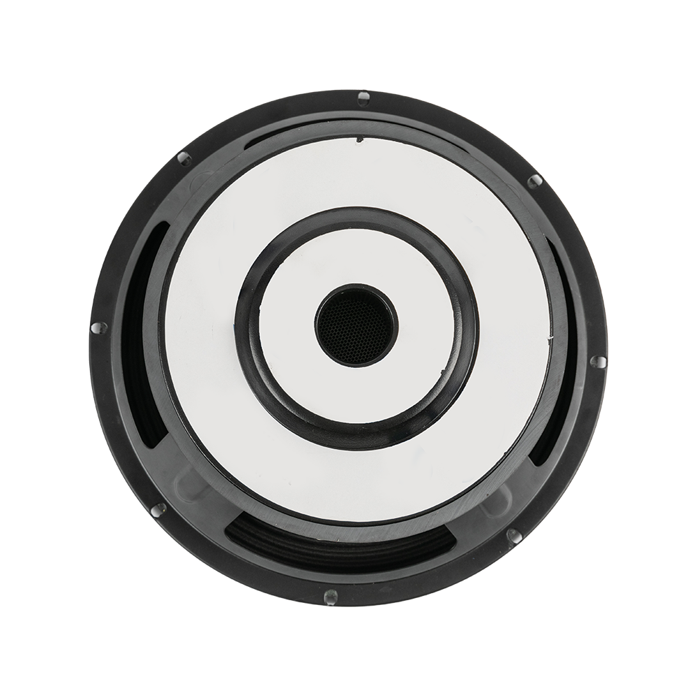 P10-03 10.0 Inches Clear-sounding Professional Speakers