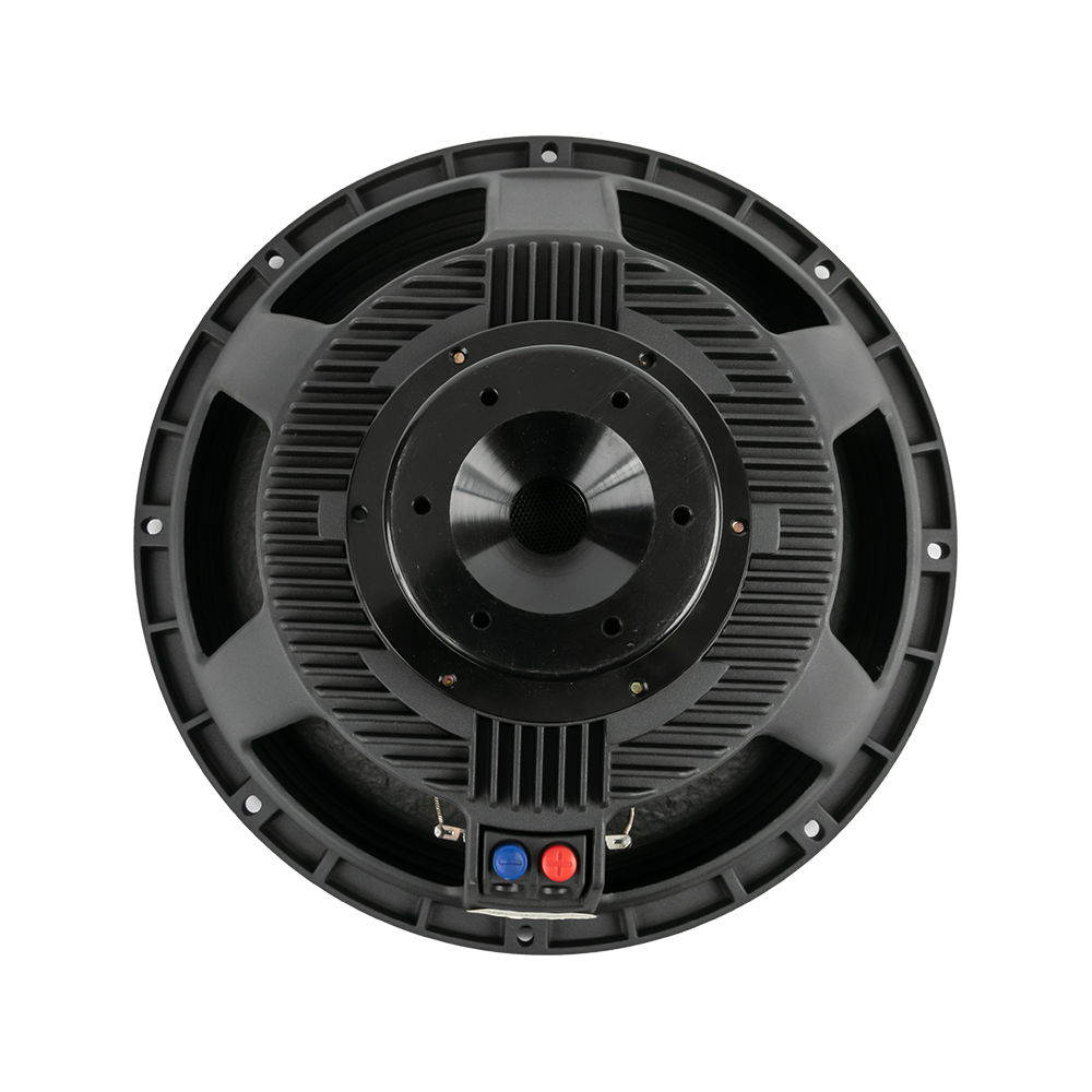 P15-06 15.0 Inches Dispersion Angle Professional Speakers