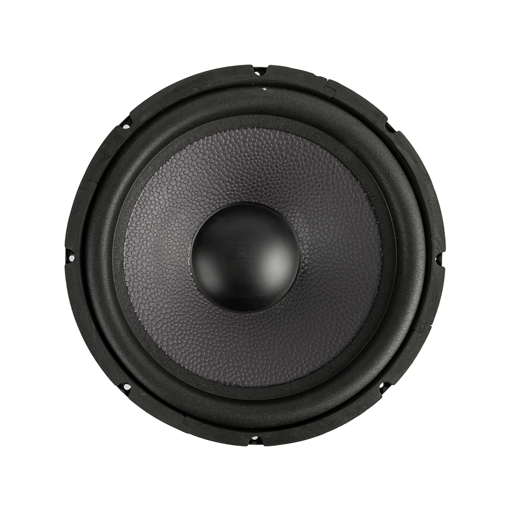 P15-10 15.0 Inches Tunable Professional Speakers