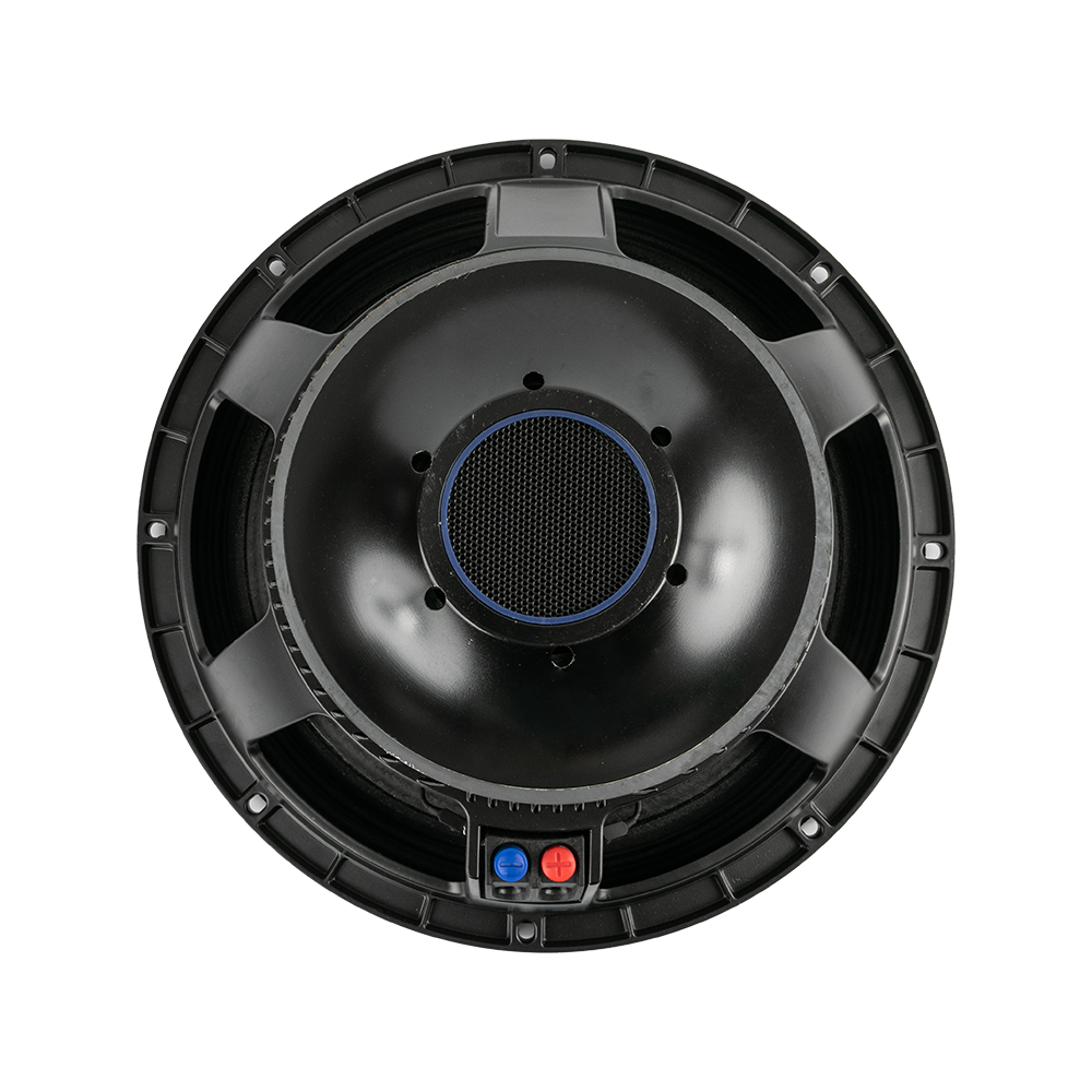 P15-09 15.0 Inches Powered Professional Speakers