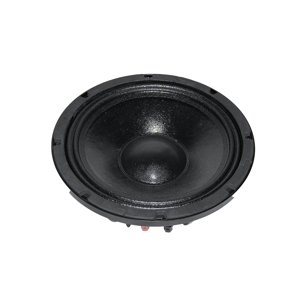 P10-04 10.0 Inches Expansive soundstage Professional Speakers